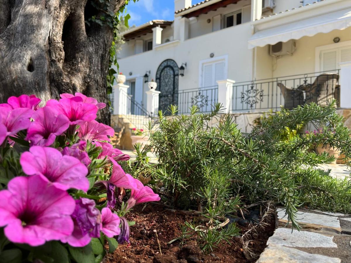 Villa Ampelaki "30 Meters To Beach" Paleokastrítsa Eksteriør bilde